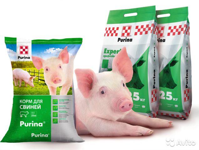 purina de cerdo