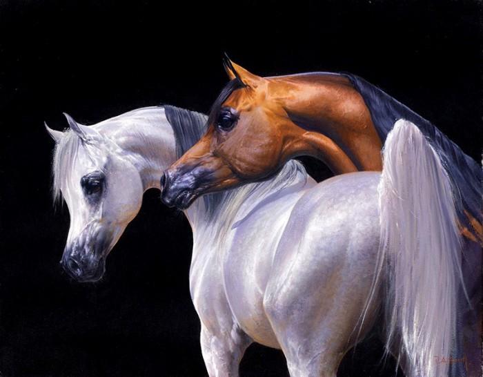 Arabian horse