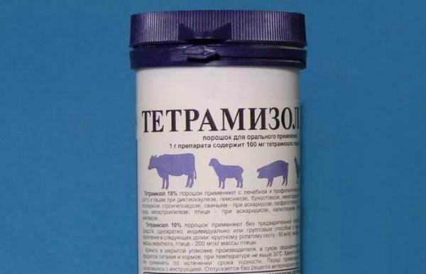 tetramisole for pigs