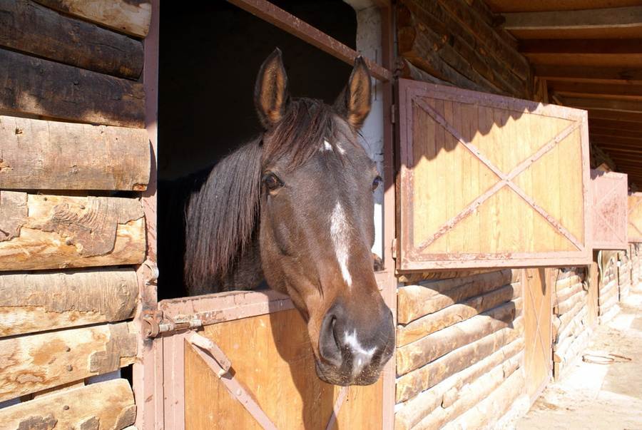 horse stable