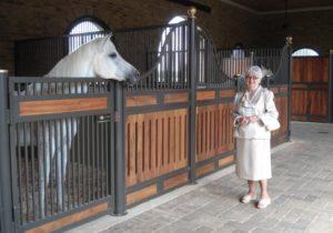 Cómo construir y equipar establos para caballos, tamaños y esquemas de un establo.