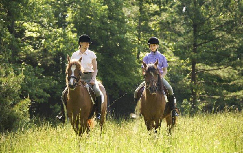 Stopping and descending from the horse