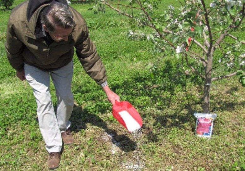 fertilizante de manzana