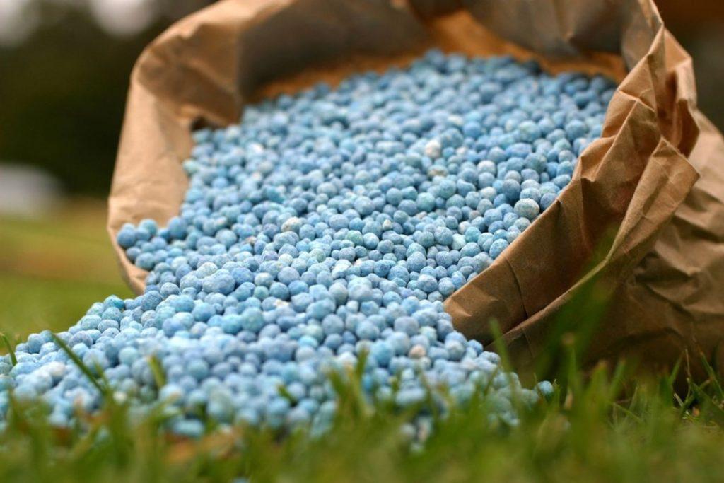 fertilizer for flowers