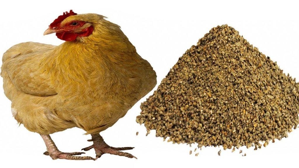 aliments composés pour poulets