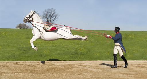 montar a caballo Lippizian