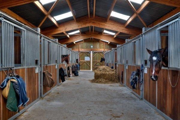 beautiful stable