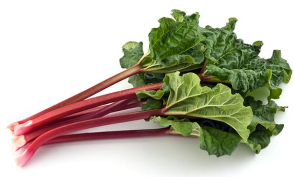 Rhubarb lišće