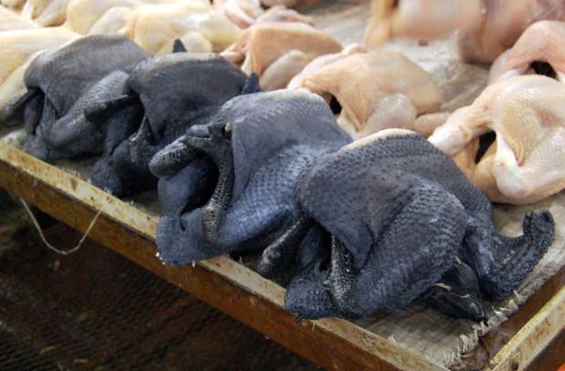 poulets noirs