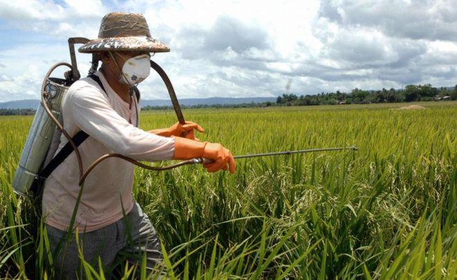 hombre en el campo