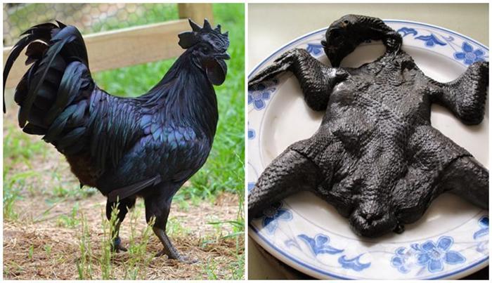 black chickens