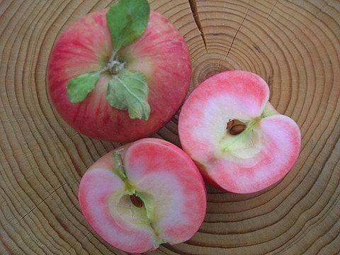 Apple Pink pearl: description of the variety and characteristics ...