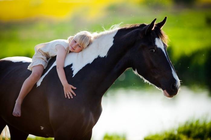 traitement du cheval