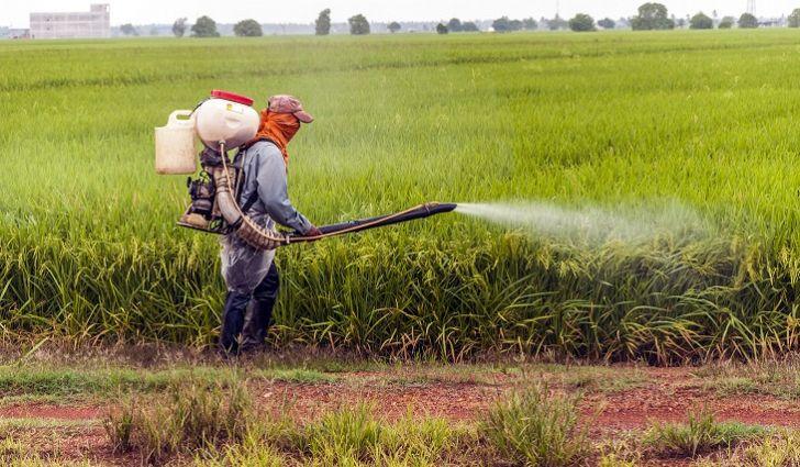 pergado fungicide