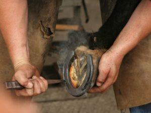 Por qué necesitas y cómo herrar a un caballo correctamente, tipos de estructuras.