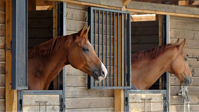 horse stable