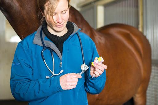 vaccin pour chevaux