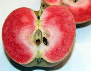 Description and characteristics of Pink pearl apples, planting and care rules