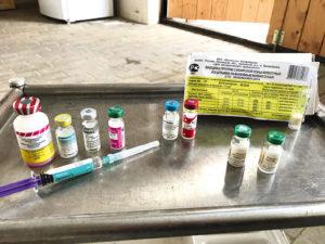 Instruction for the vaccine against rhinopneumonia in horses and its composition