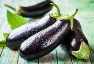 Noms et descriptions des 11 meilleures variétés d'aubergines pour la Sibérie