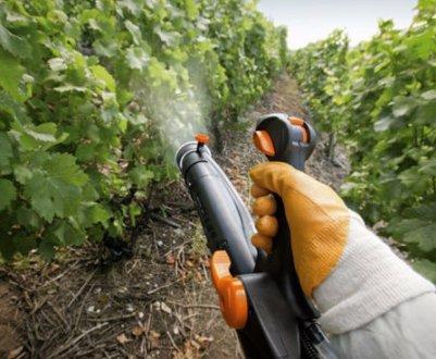 grape processing