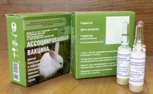 Instructions for the associated vaccine for rabbits and how to vaccinate