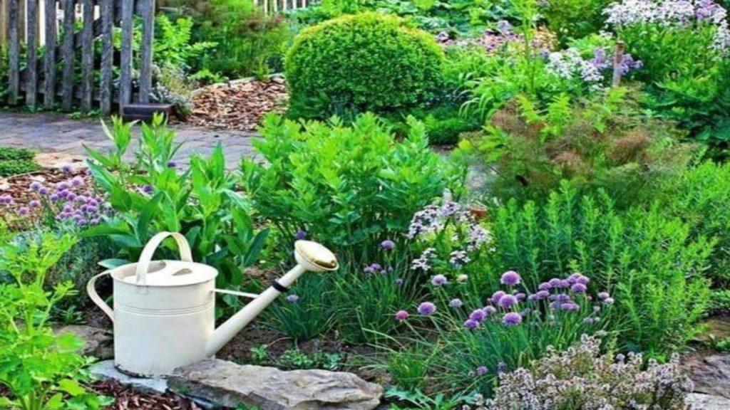 watering flowers