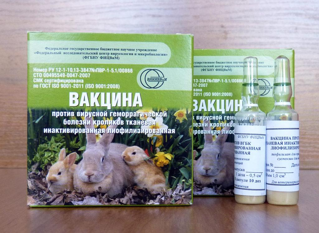 rabbit vaccine