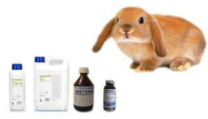 What vitamins are needed for rabbits and what are they contained, TOP 6 drugs