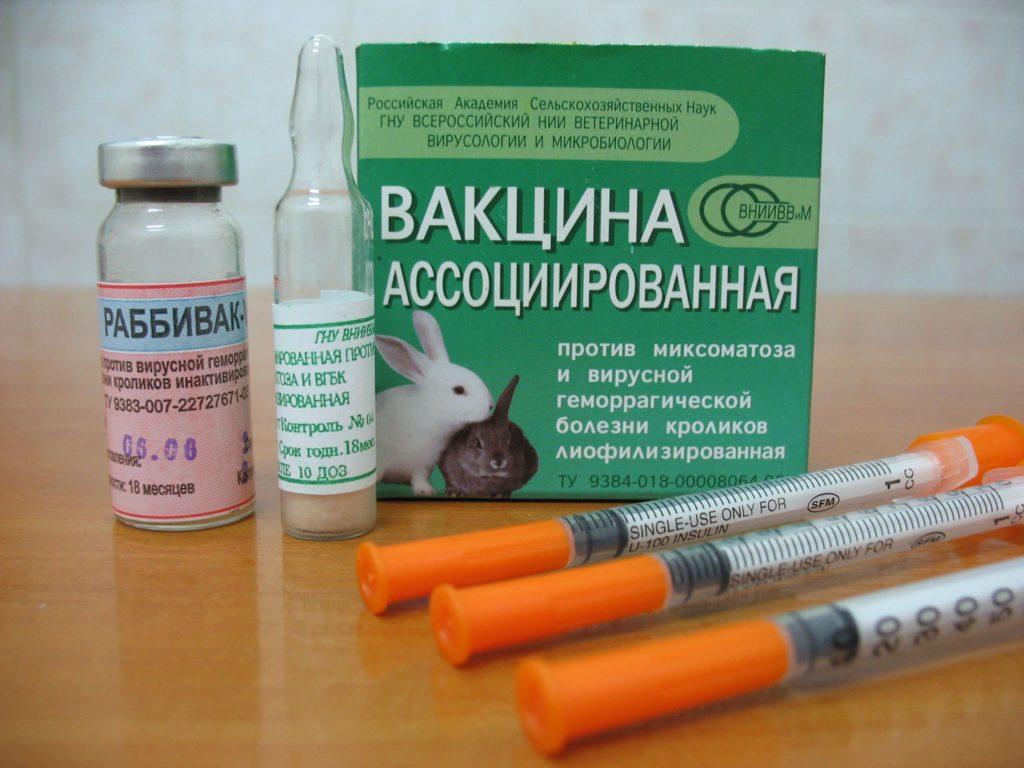 rabbit vaccine