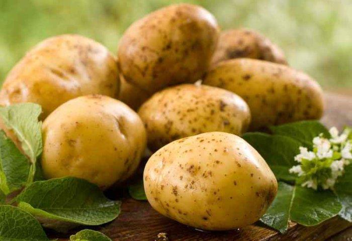 raw potatoes