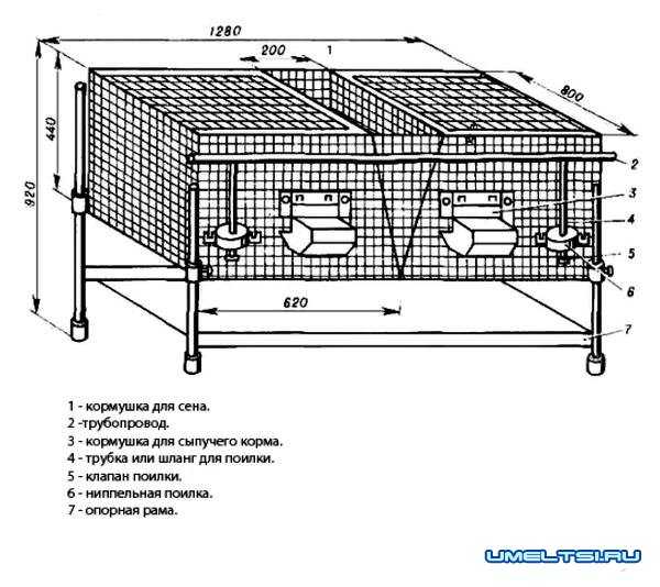 buněčný diagram