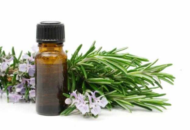 rosemary benefits and harms