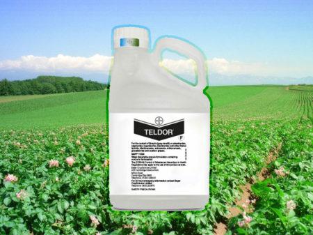 Teldor fungicide