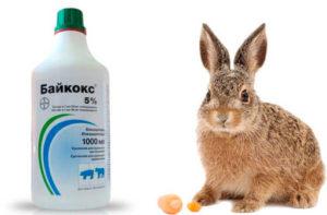 sur l'utilisation de Baykoks pour les lapins, la composition et la durée de conservation