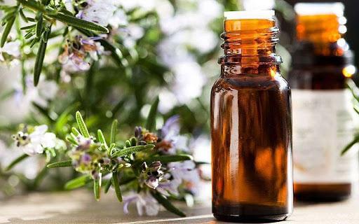 rosemary benefits and harms