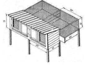 20 do-it-yourself drawings with the dimensions of rabbit cages and assembly video