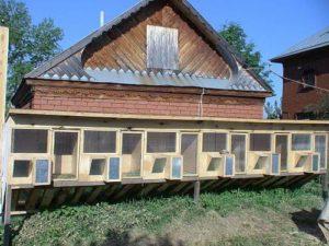 Rules for keeping rabbits in a barn and how to build a room with your own hands