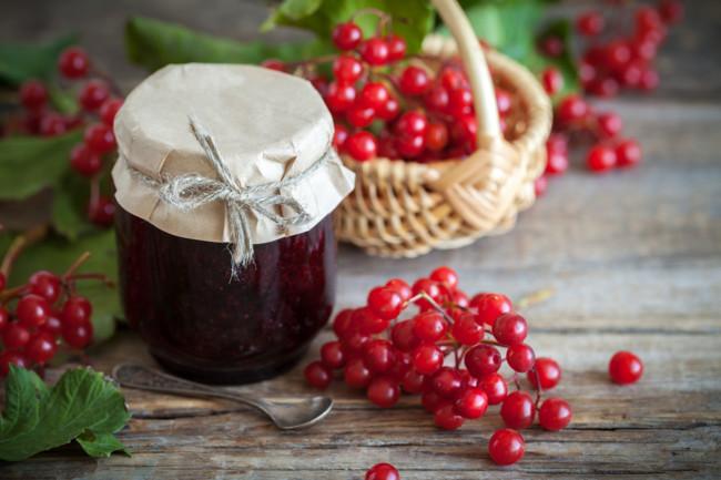 viburnum jam