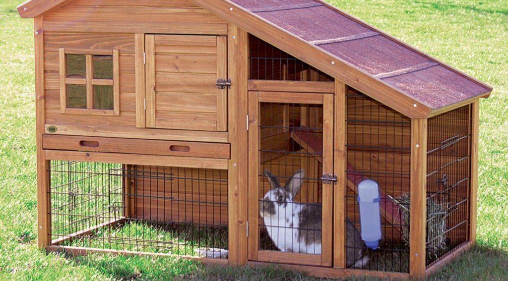 rabbit cage