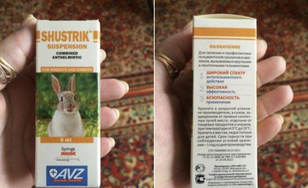 Shustrik for rabbits