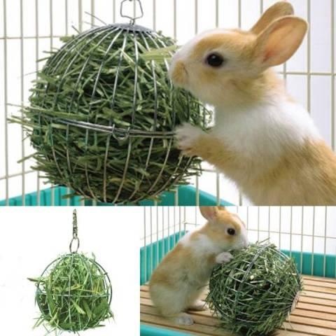 hay for rabbits