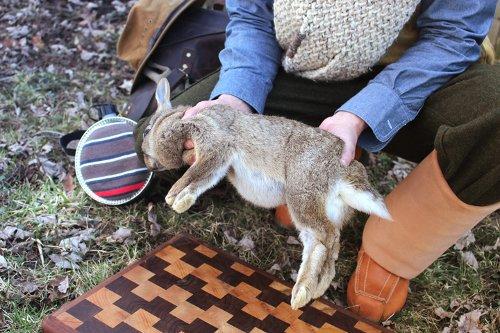 rabbit carcass