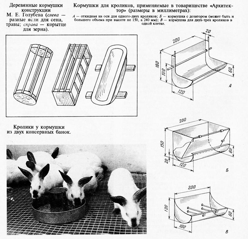 Dimenzije i crteži 10 najboljih vrsta hranilica za zeca