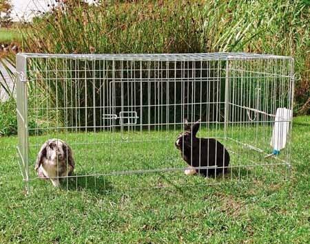 rabbit enclosure