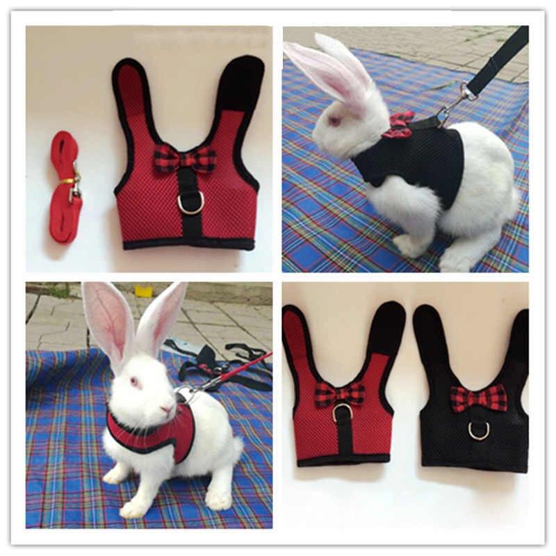 harness for rabbits