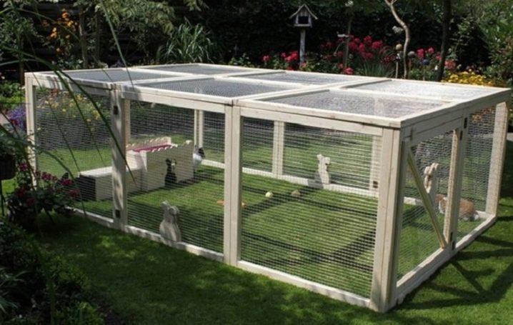 Ang pagtatayo ng Do-it-yourself ng isang aviary para sa mga rabbits at pag-aanak sa bahay