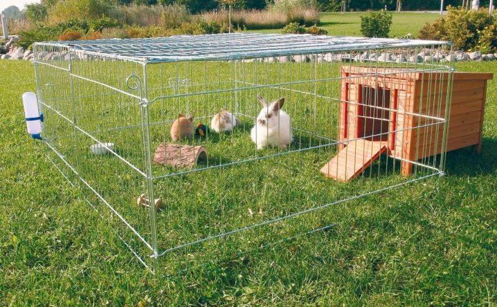 Ang pagtatayo ng Do-it-yourself ng isang aviary para sa mga rabbits at pag-aanak sa bahay