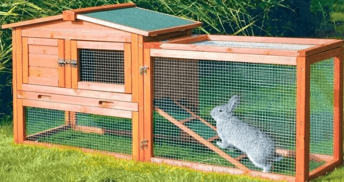 rabbit enclosure