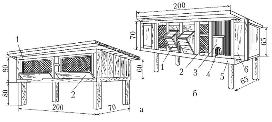 cell 3